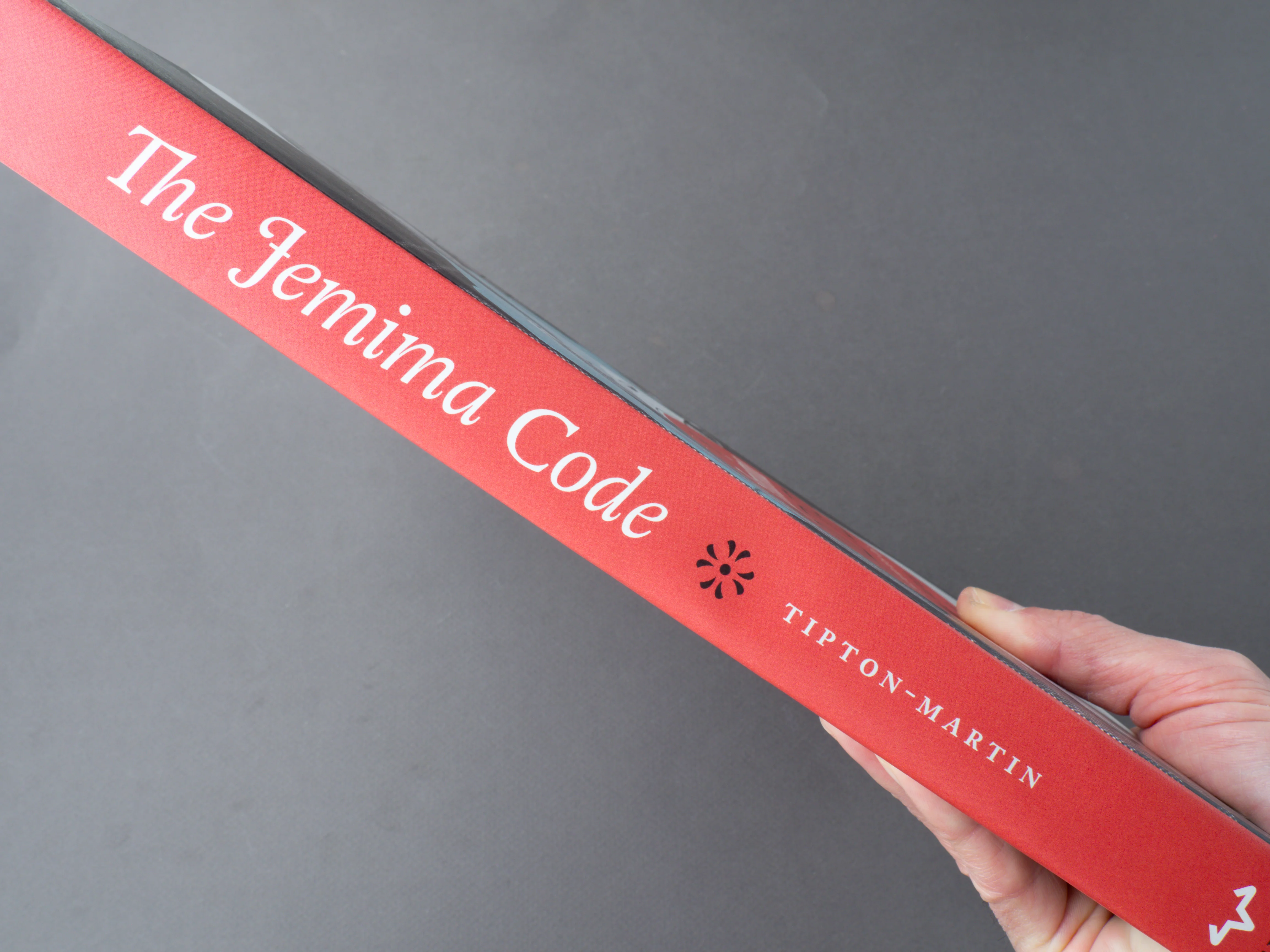 The Jemima Code - Image 3