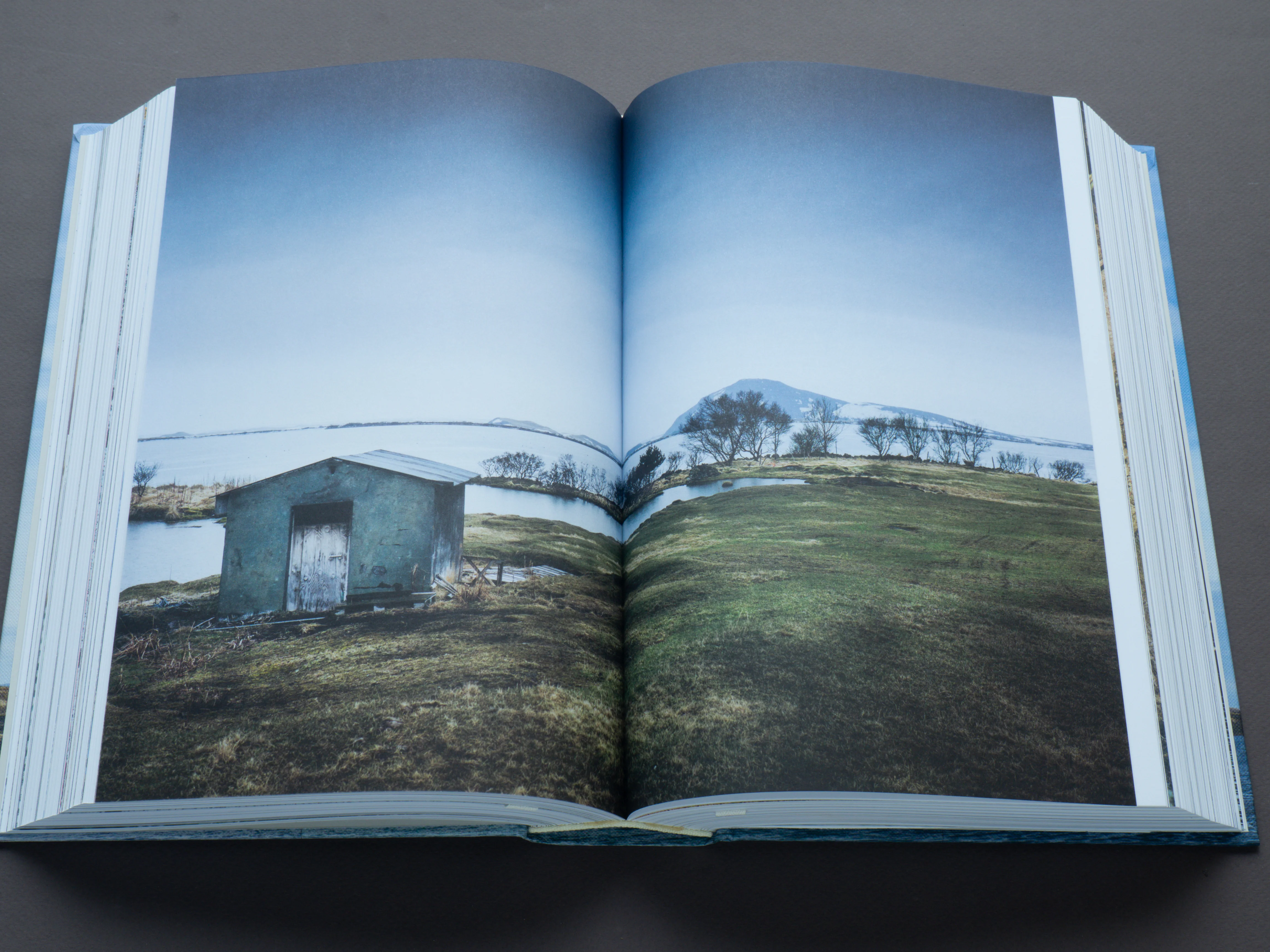 The Nordic Cookbook - Image 4